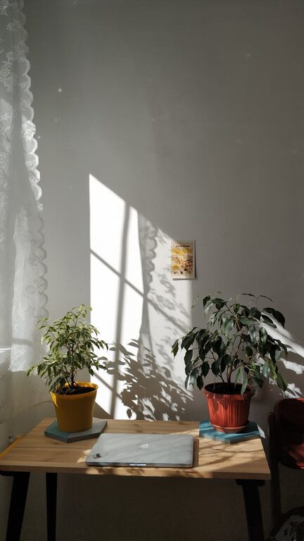 Tips for Creating a Relaxing Home Workspace to Boost Productivity and Well-Being